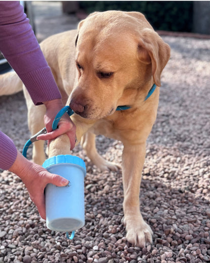 Dog Paw Cleaner